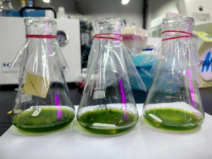 紹興上虞 科技創(chuàng)新驅(qū)動，秸稈變身高價值新材料，譜寫綠色經(jīng)濟(jì)新篇章